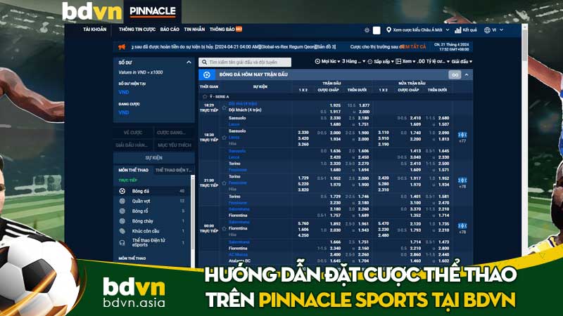 Hướng dẫn đặt cược thể thao trên Pinnacle Sports tại BDVN